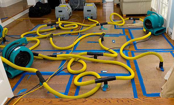 Professional Sewage Cleanup technician working in Ashley, OH