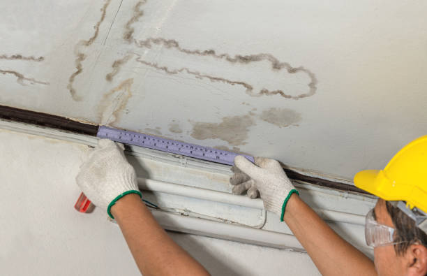Affordable Water Damage Repair solutions in Ashley, OH